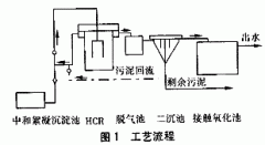 農（nóng）村小型汙水處理設備|HCR反應器處理味精廠廢水